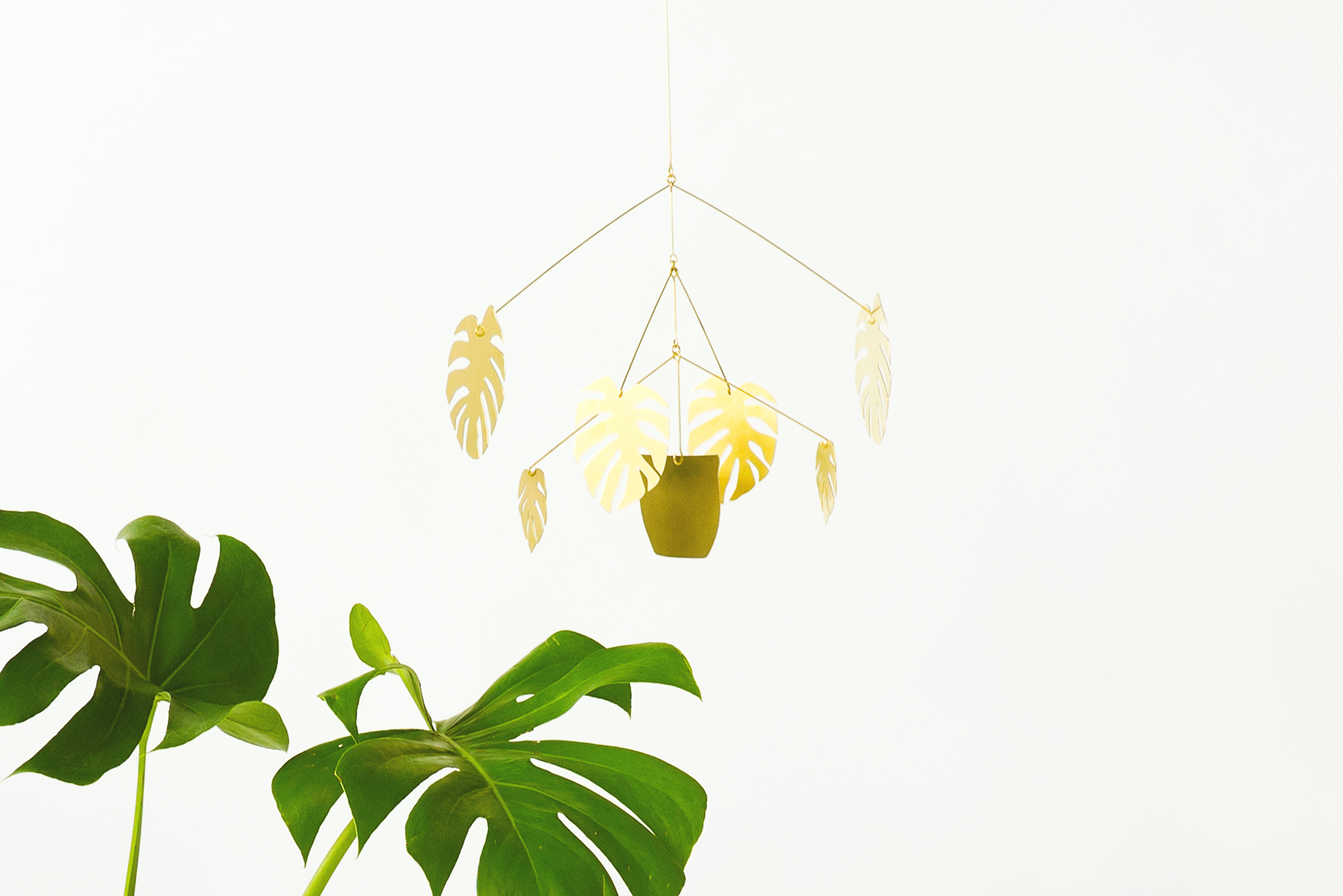 Houseplant Mobiles